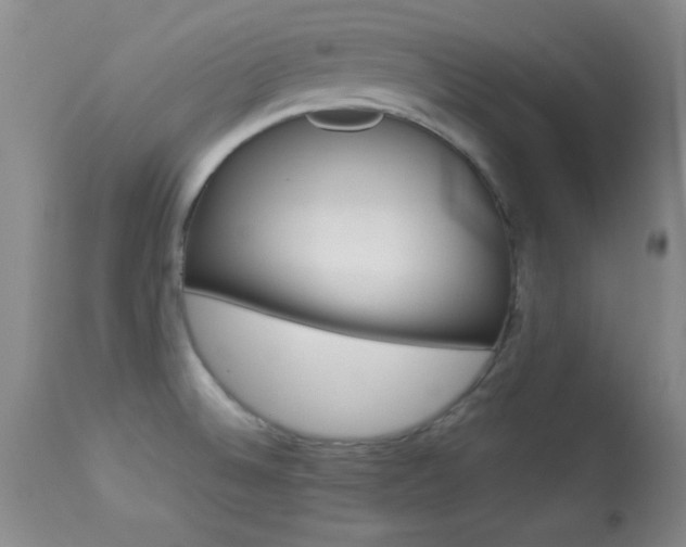 X0000113931524200909250903