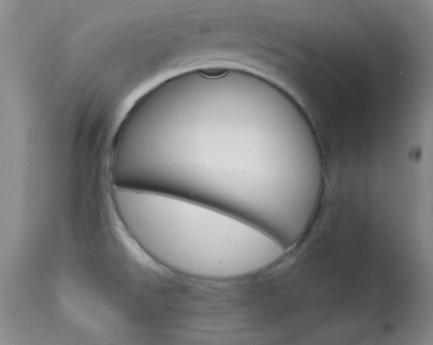X0000113931526200909250903