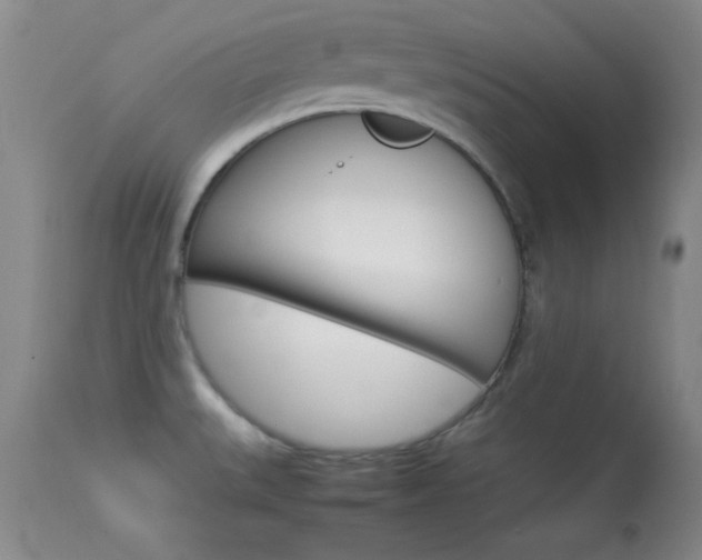 X0000113931527200909250903