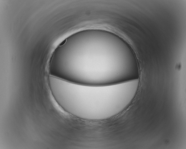 X0000113931528200909250903