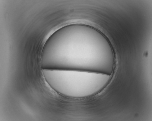 X0000113931529200909250903