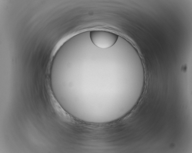 X0000113931530200909250903