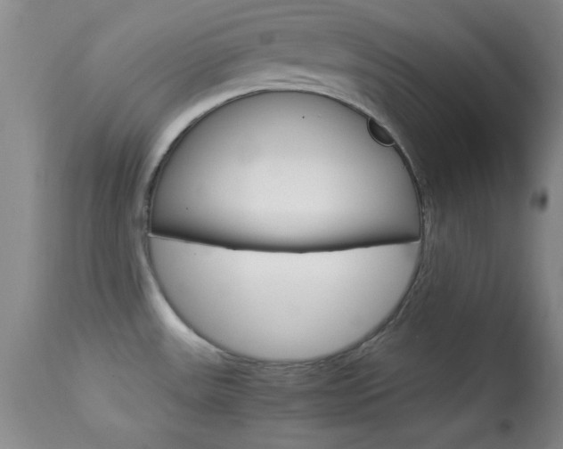 X0000113931531200909250903