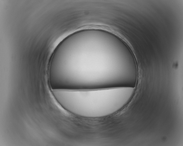 X0000113931533200909250903