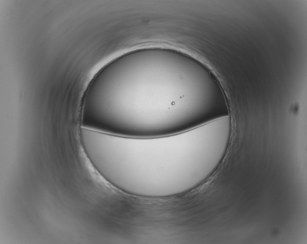 X0000113931534200909250903