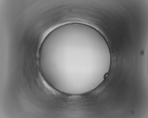 X0000113931535200909250903
