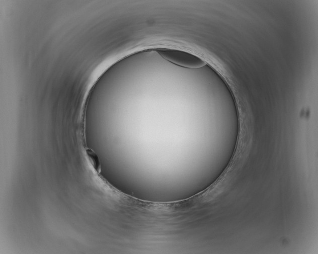 X0000113931536200909250903