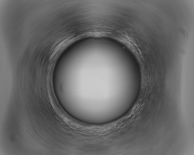 X0000113930001200909251229