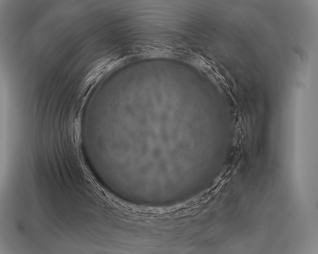 X0000113930002200909251229