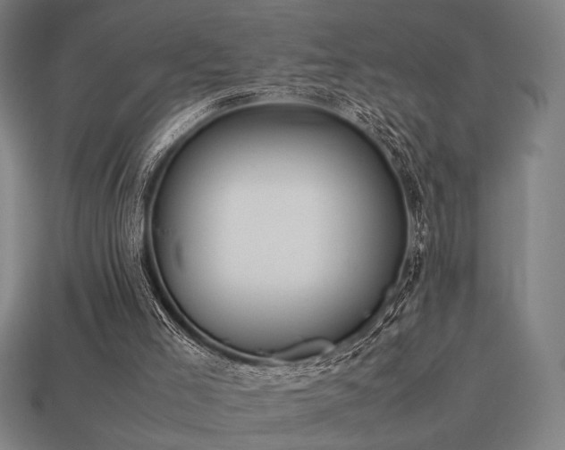X0000113930005200909251229