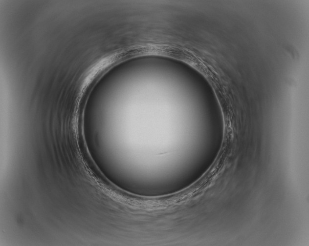 X0000113930006200909251229