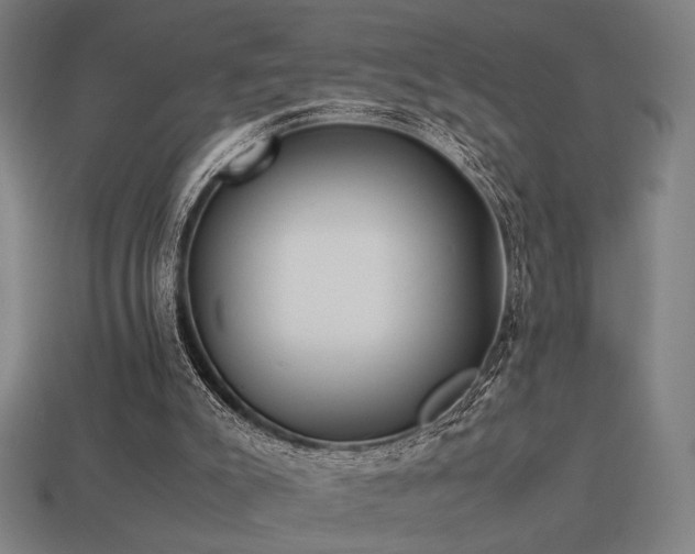 X0000113930007200909251229