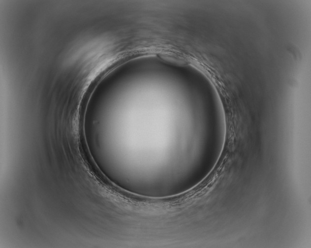X0000113930008200909251229