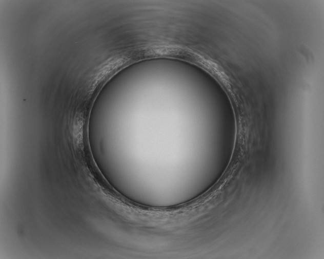 X0000113930010200909251229