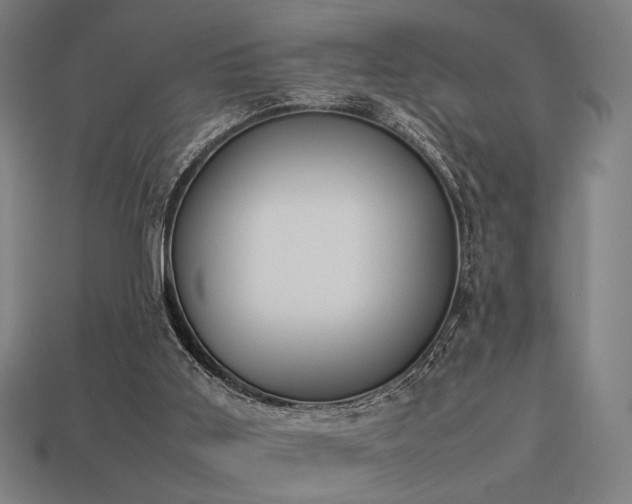 X0000113930011200909251229