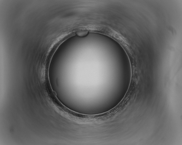 X0000113930012200909251229