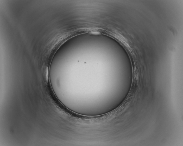 X0000113930013200909251229