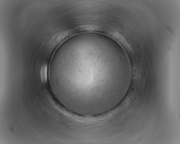 X0000113930014200909251229