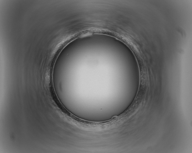 X0000113930015200909251229