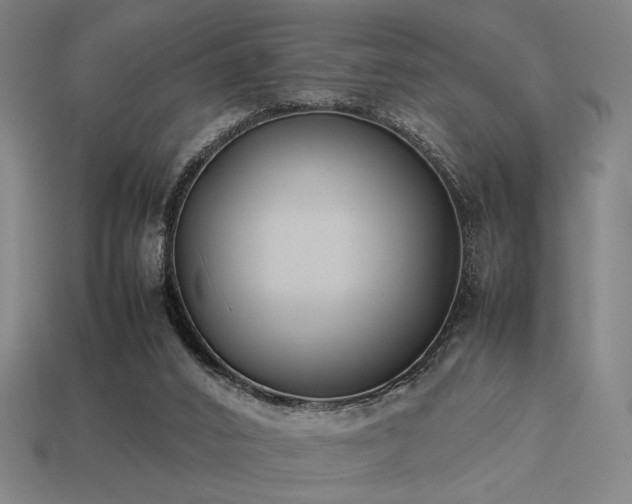 X0000113930016200909251229