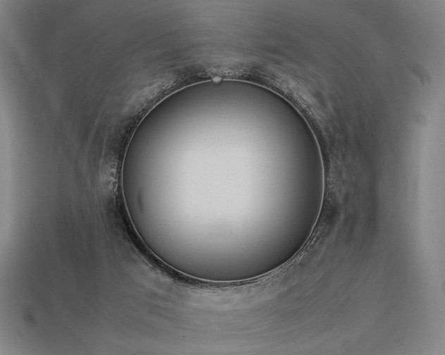 X0000113930017200909251229