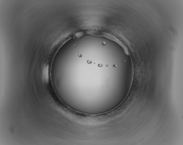 X0000113930020200909251229