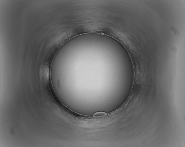 X0000113930021200909251229