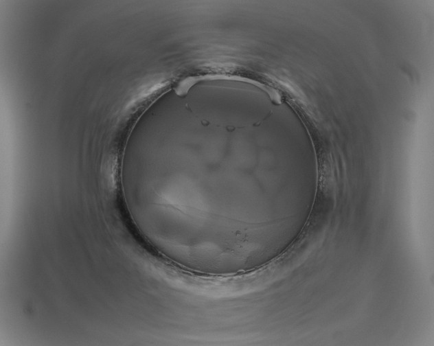 X0000113930023200909251229