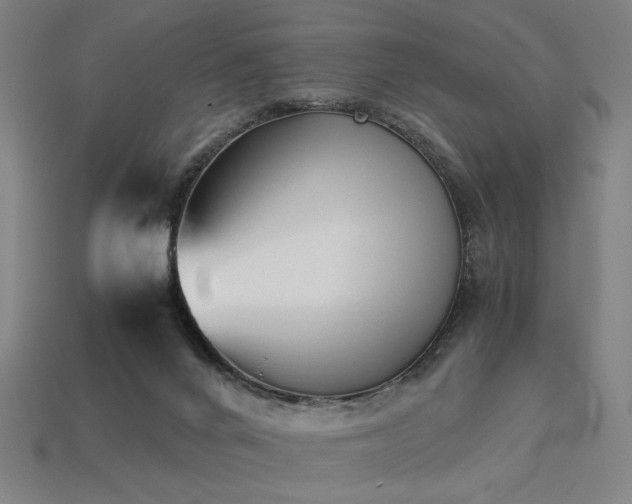 X0000113930024200909251229