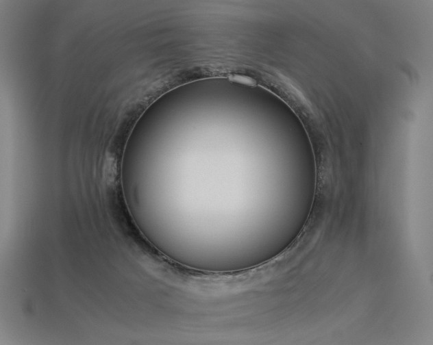 X0000113930025200909251229