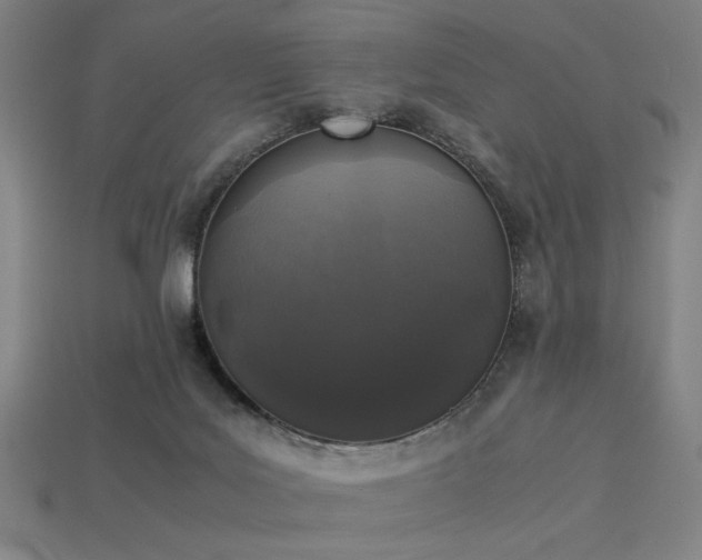 X0000113930027200909251229