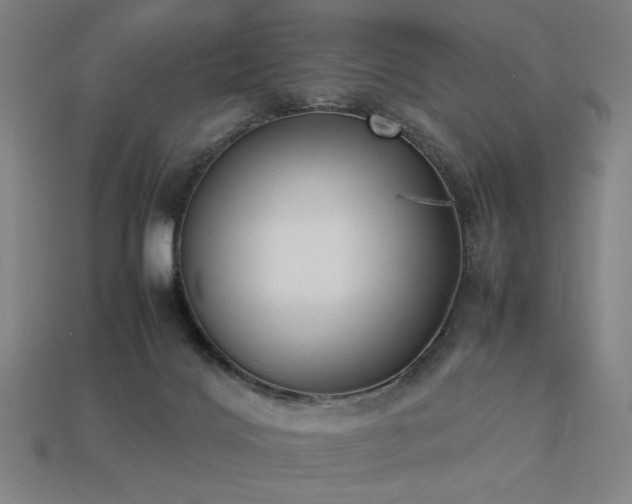 X0000113930028200909251229