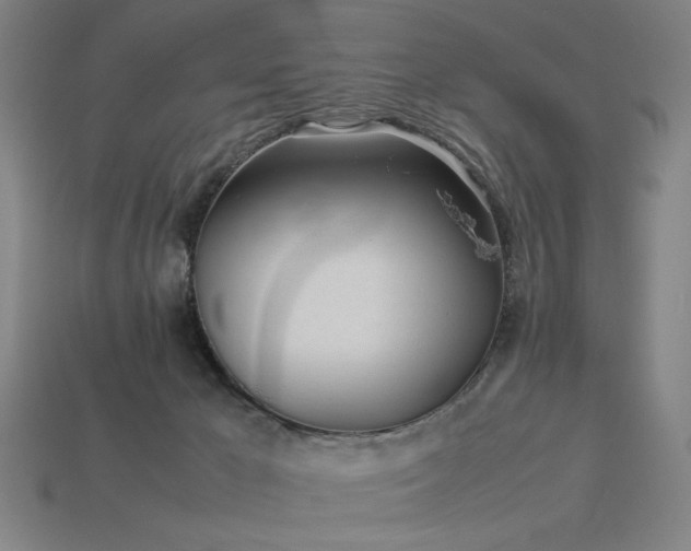X0000113930029200909251229