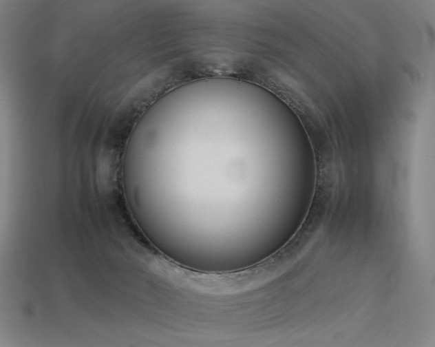 X0000113930030200909251229
