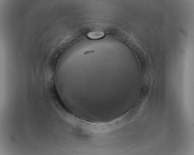 X0000113930031200909251229