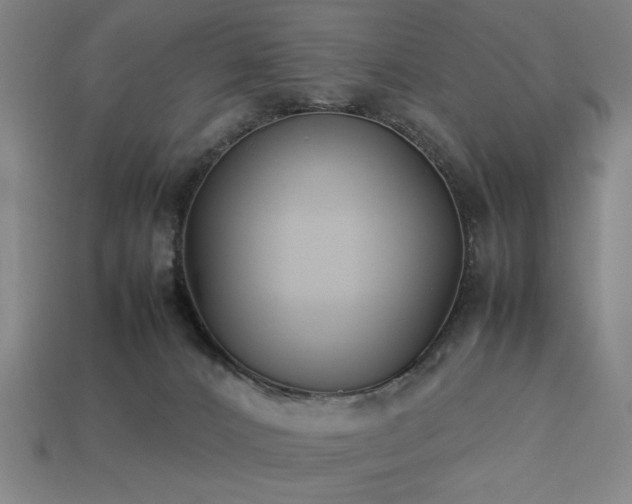 X0000113930032200909251229
