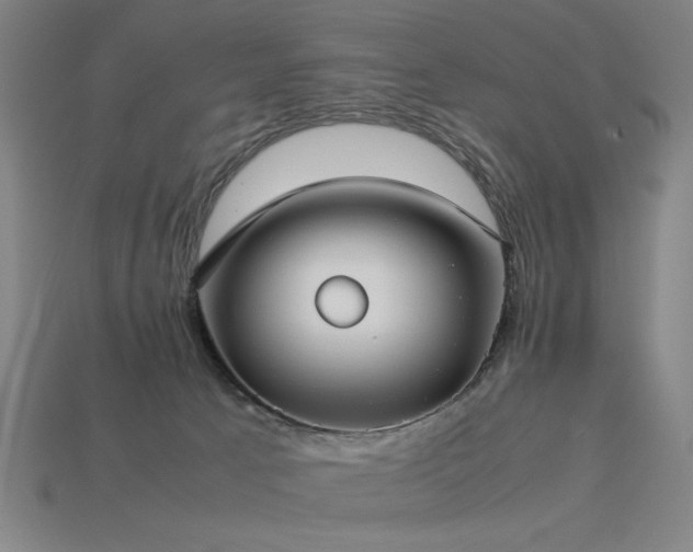 X0000113930033200909251229