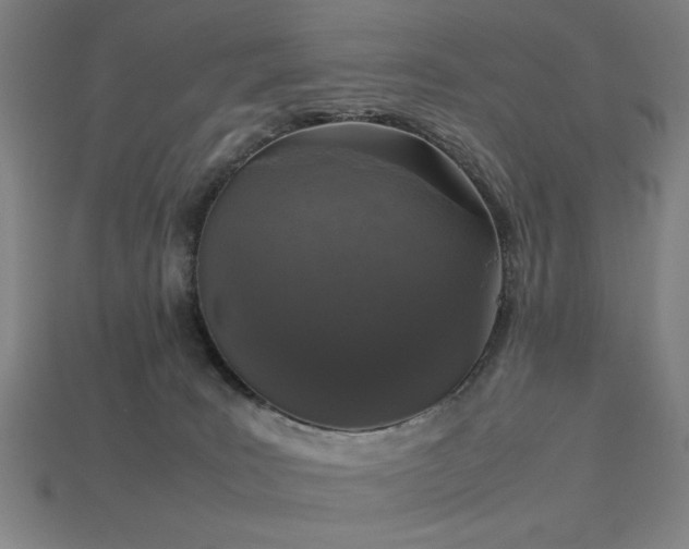 X0000113930035200909251228