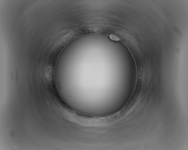 X0000113930036200909251228
