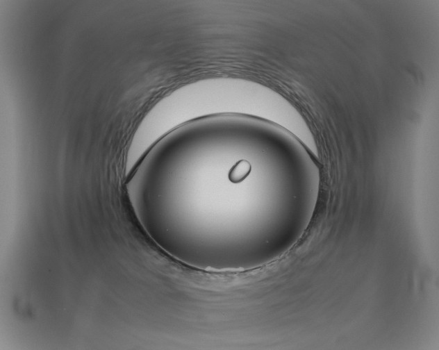 X0000113930037200909251228