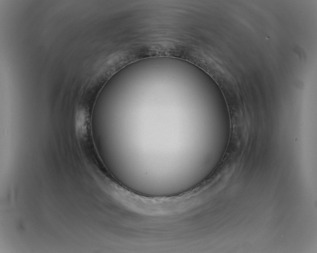 X0000113930038200909251228