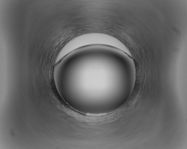 X0000113930039200909251228