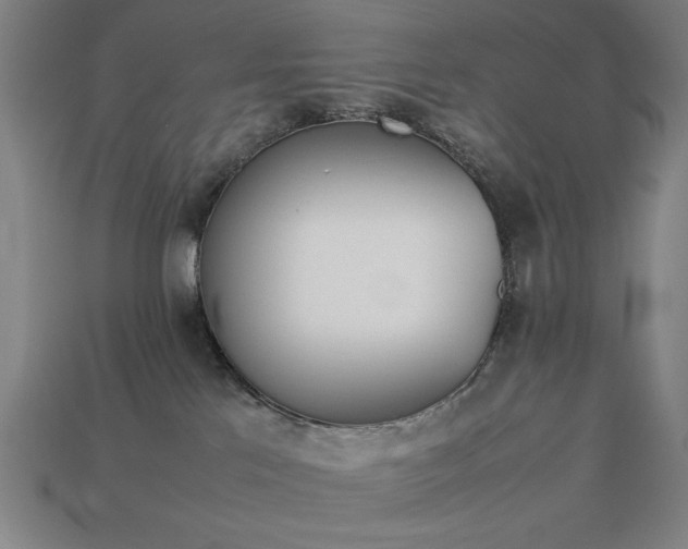 X0000113930041200909251228