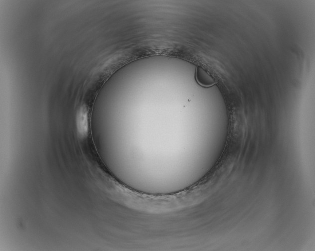 X0000113930042200909251228