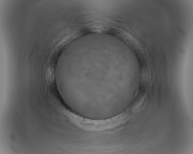 X0000113930043200909251228