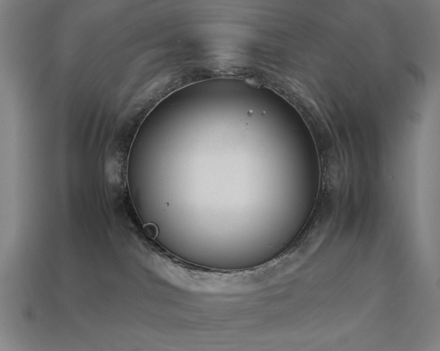 X0000113930044200909251228
