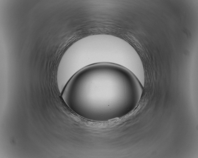 X0000113930045200909251228