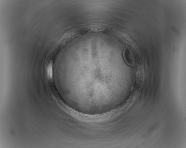 X0000113930046200909251228