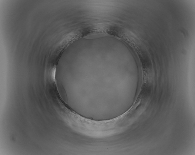 X0000113930047200909251228