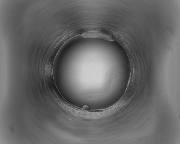 X0000113930048200909251228